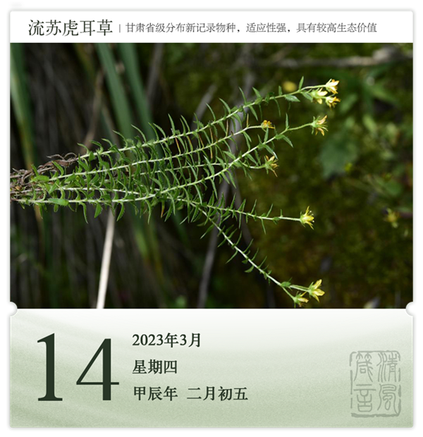 1710236230910470.png 箴历日历3-14.png