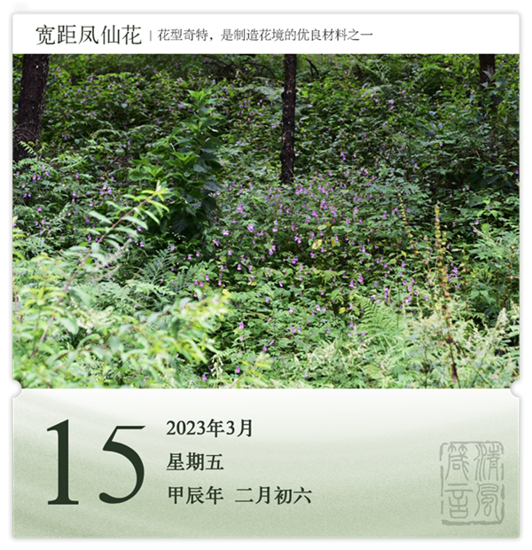 1710384866222528.png 箴历日历3-15.png