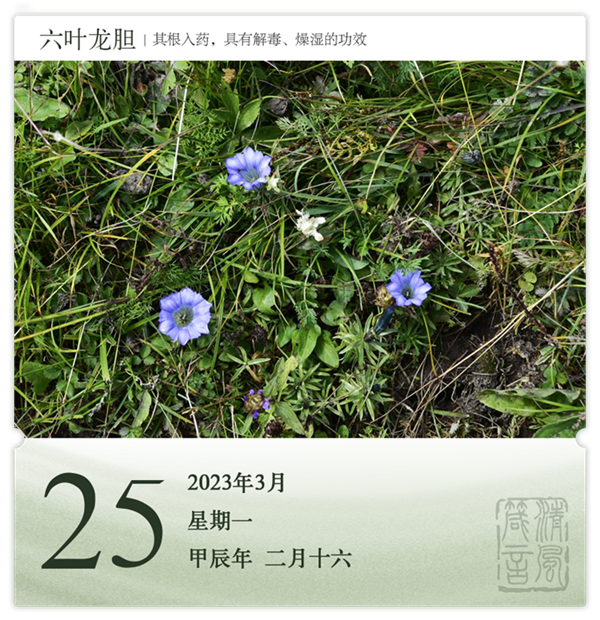 1710386971248748.png 箴历日历3-25.png