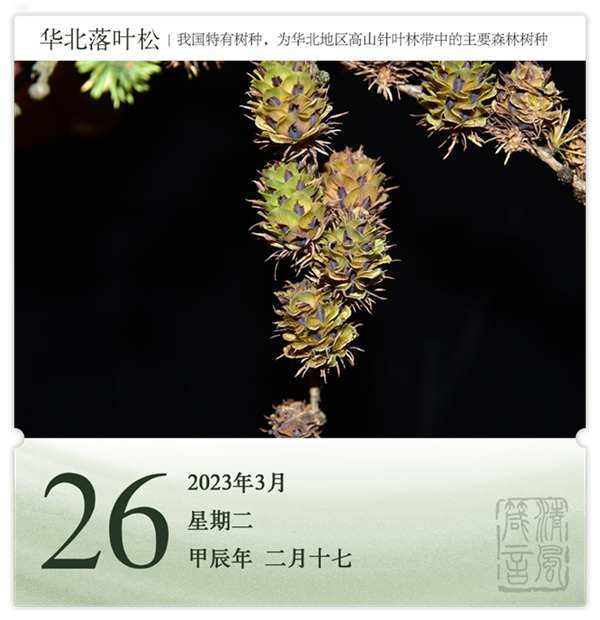 1710387070390447.png 箴历日历3-26.png