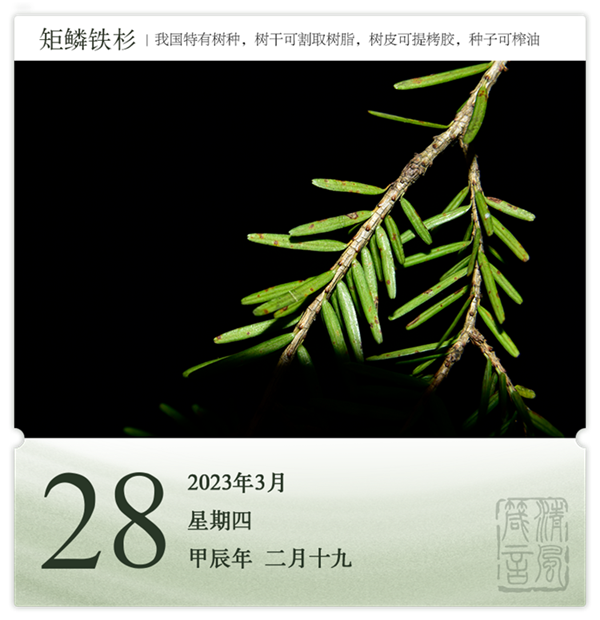 1710387239361904.png 箴历日历3-28.png