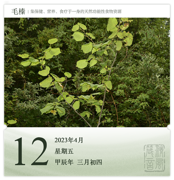 1712647395648145.png 箴历日历4-12.png