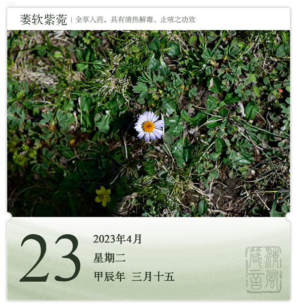 1713777947486227.png 箴历日历4-23.png