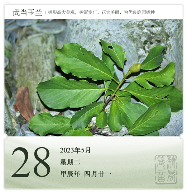 1714286488113202.png 箴历日历5-28.png