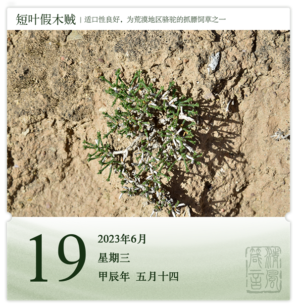 1717744592607121.png 箴历日历6-19.png