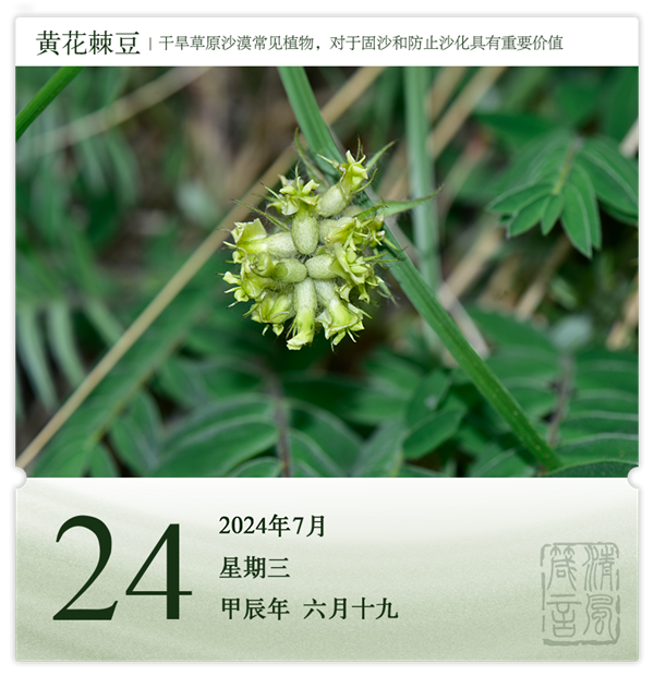 1721720696620416.png 箴历日历7-24.png