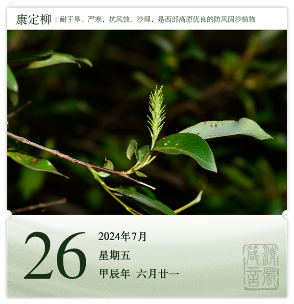 1721722231792019.png 箴历日历7-26.png