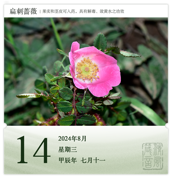 1722581033934801.png 箴历日历8-14.png