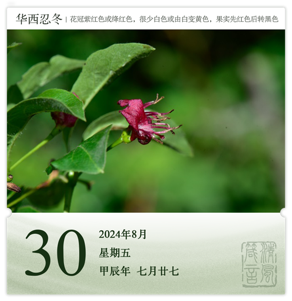 1722582589646548.png 箴历日历8-30.png