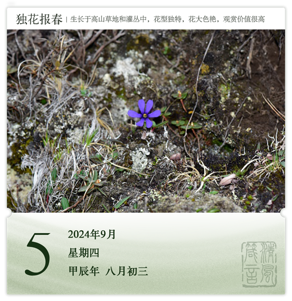 1725443763376710.png 箴历日历9-5.png