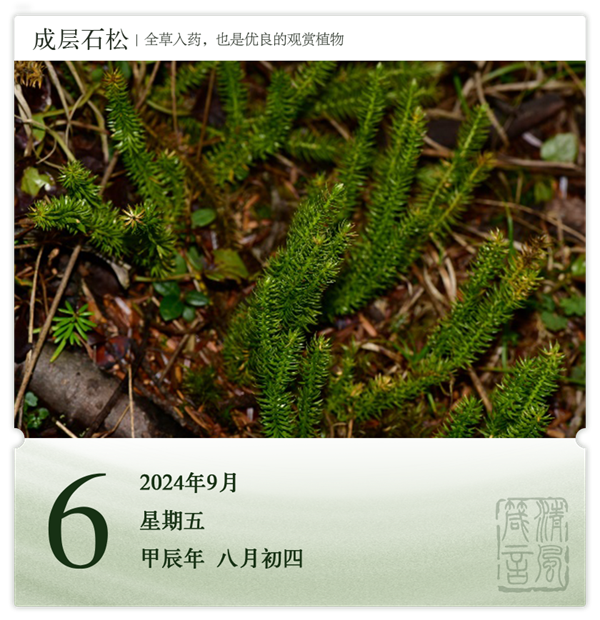 1725528942116281.png 箴历日历9-6.png