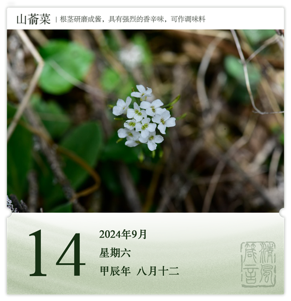 1726039165791424.png 箴历日历9-14.png