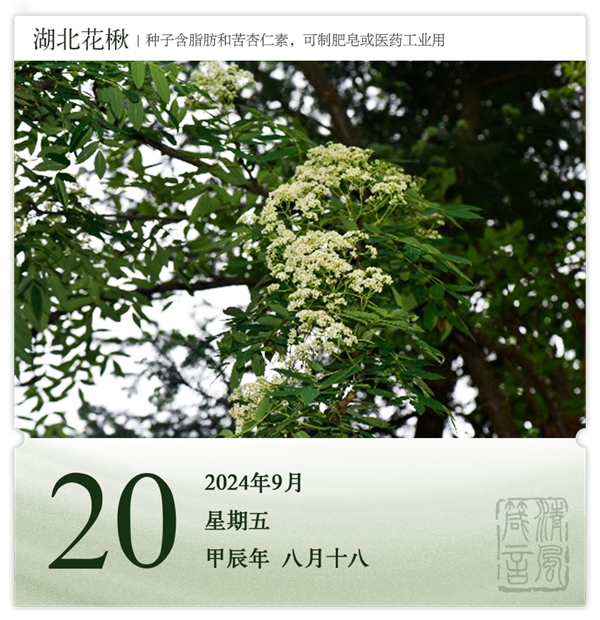 1726039588855480.png 箴历日历9-20.png