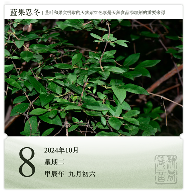 1727681449158035.png 箴历日历10-8.png