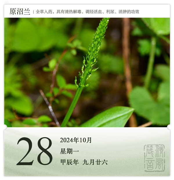 1729844358185005.png 箴历日历10-28.png
