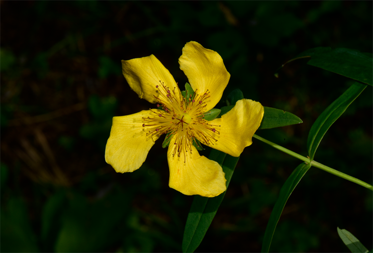 1730190359836073.png 29-2.png