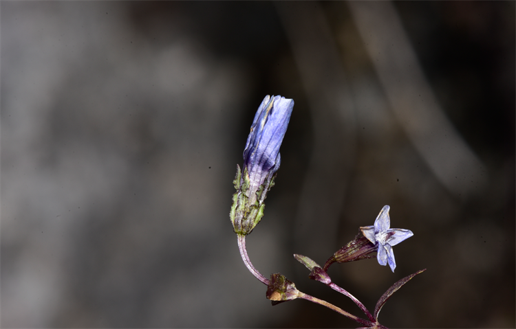 1732868793704767.png 6-2.png