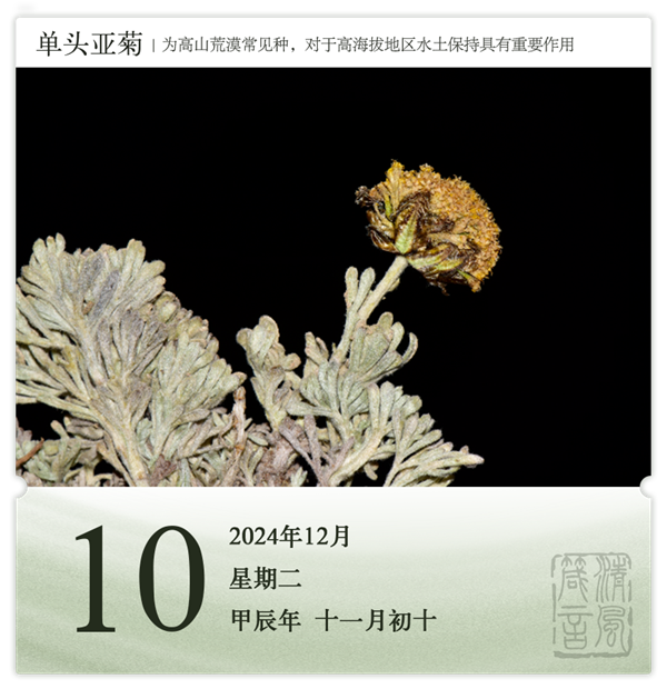 1732869225255467.png 箴历日历12-10.png