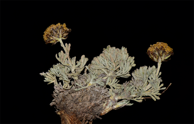 1732869299591879.png 10-2.png