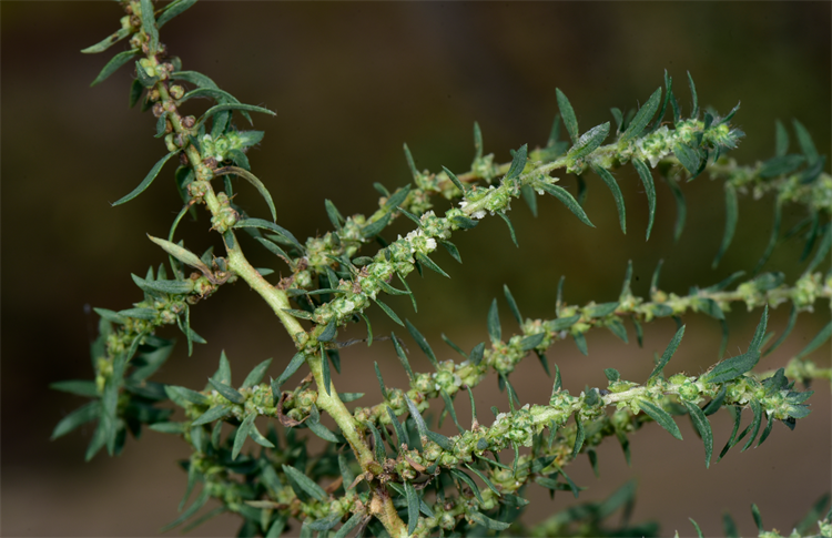 1732869526299558.png 11-2.png