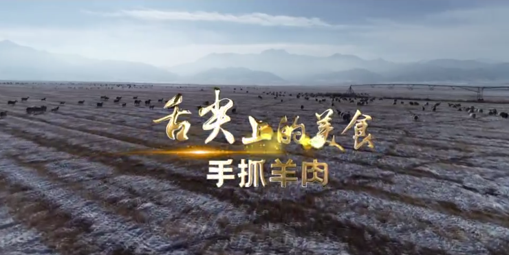 【凯发k8省“100系列”献礼建党百年】物华天宝润陇原·舌尖上的美食：手抓羊肉