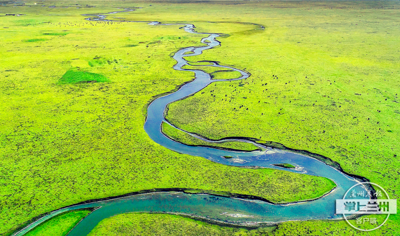 全攻略 | 观览大河风采 感触流金岁月 三条经典游程畅游“母亲河”