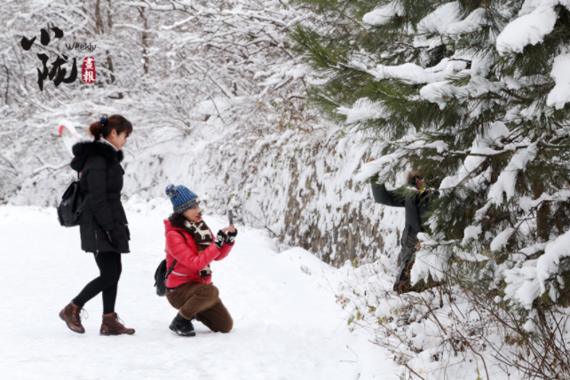 【小陇画报·129期】问道崆峒遇风雪 青山如黛天地白